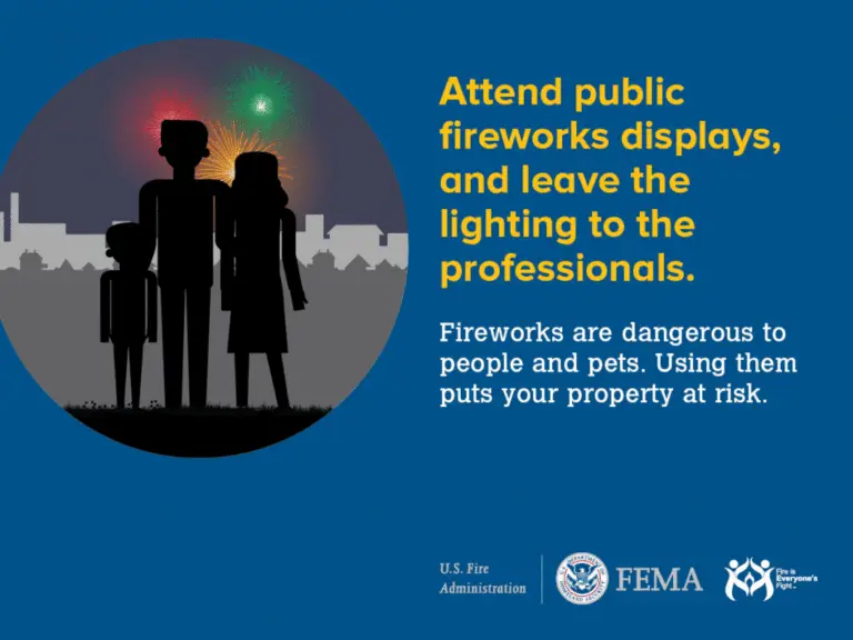 A silhouette of a family watching a fireworks display over a city skyline, with a safety message encouraging the public to leave fireworks to professionals.