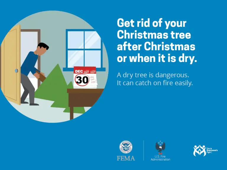 A man carrying a christmas tree out of his home with informative text advising to get rid of your christmas tree after christmas or when it is dry, emphasizing that a dry tree is dangerous due to its high flammability. the image also includes logos of fema, the us fire administration, and the u.s. department of homeland security, and features a calendar set to december 30 to signify the end of the holiday season.
